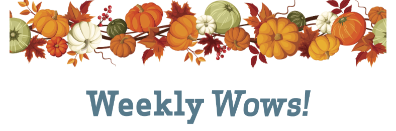 Named Weekly Sale Theme for Gelson’s&nbsp;Markets